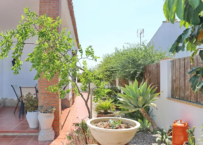 Arroyo Conil De La Frontera